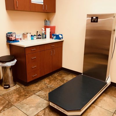 Canine Patient Exam Room