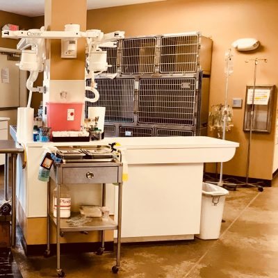 Our Treatment Area