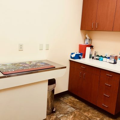 Feline Patient Exam Room